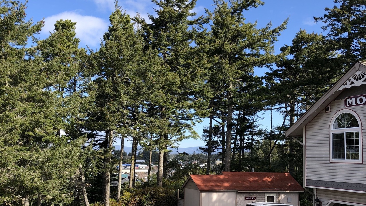 Photo of Others in Florence