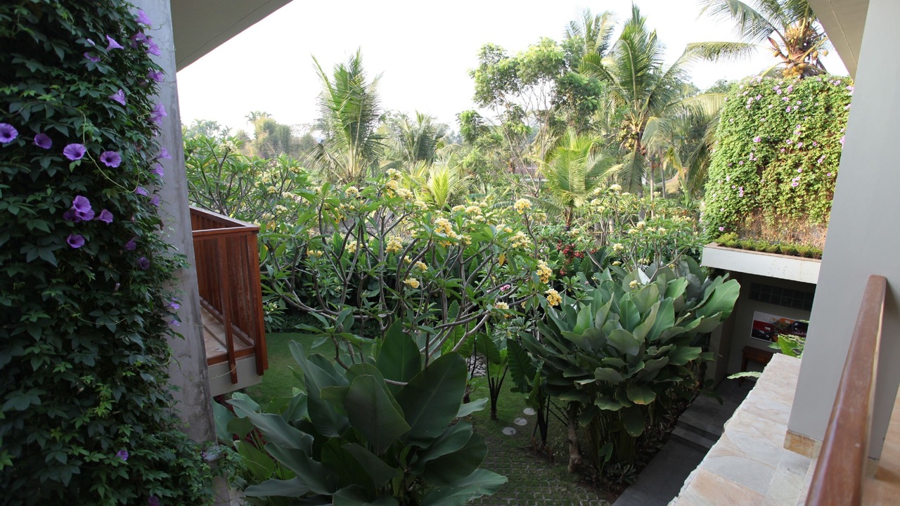 Photo of Outdoor in Nyuh Kuning