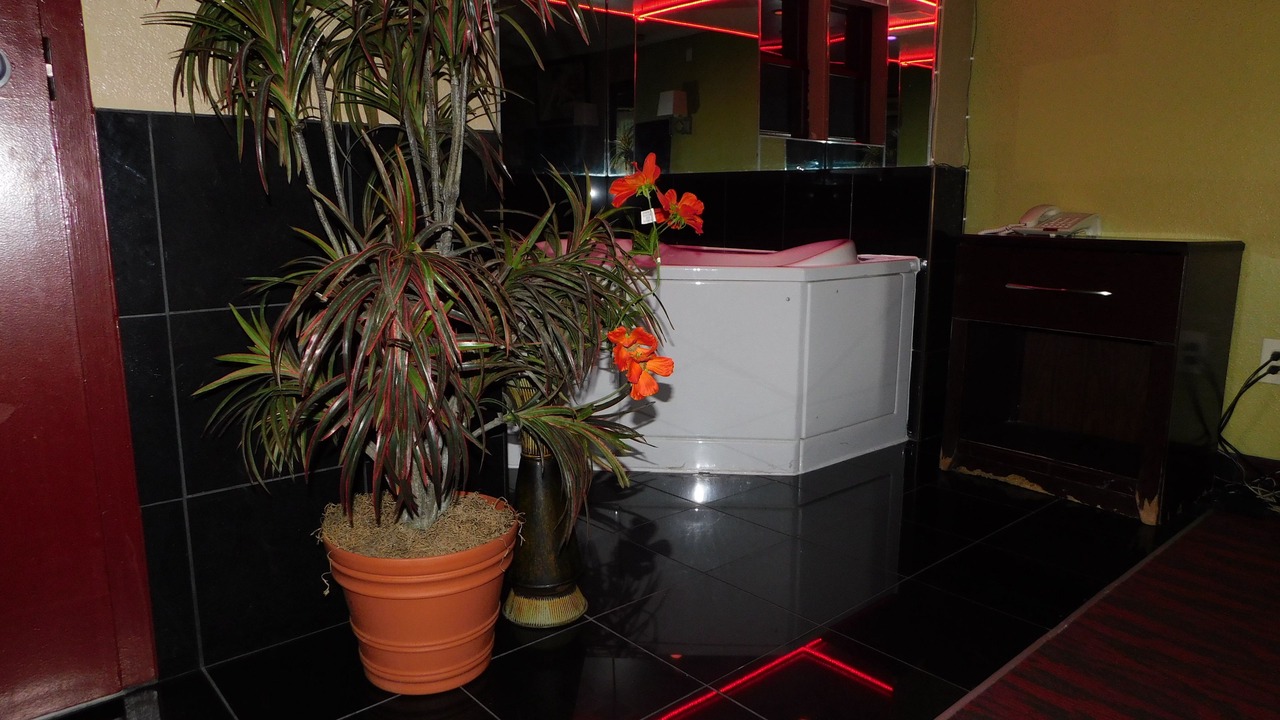 Photo of Others in Lawrenceville