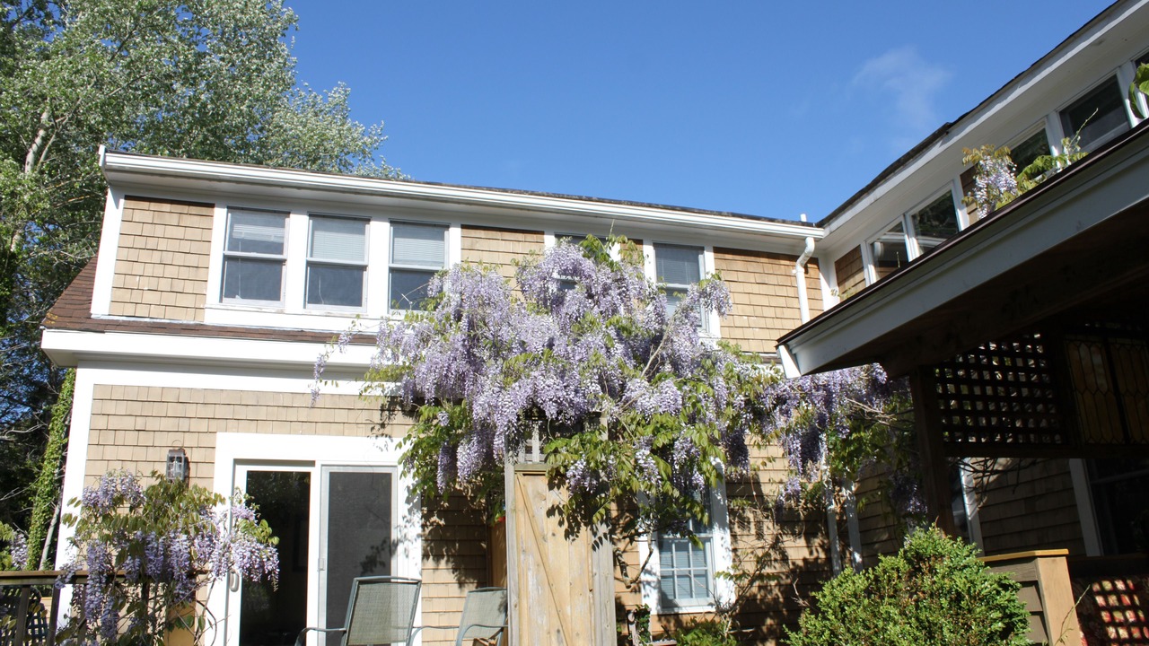 Photo of Outdoor in West Chatham