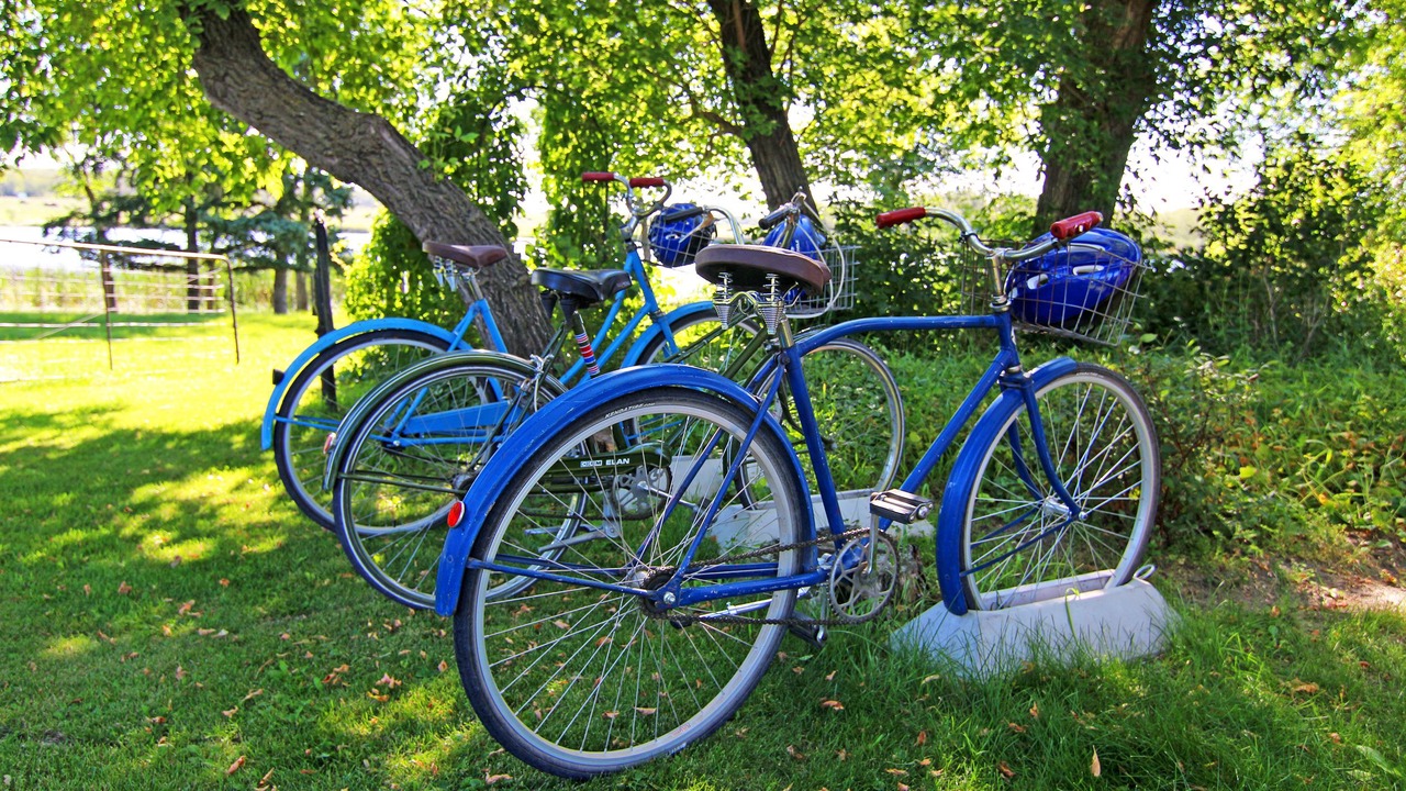 Photo of Outdoor in Minnedosa