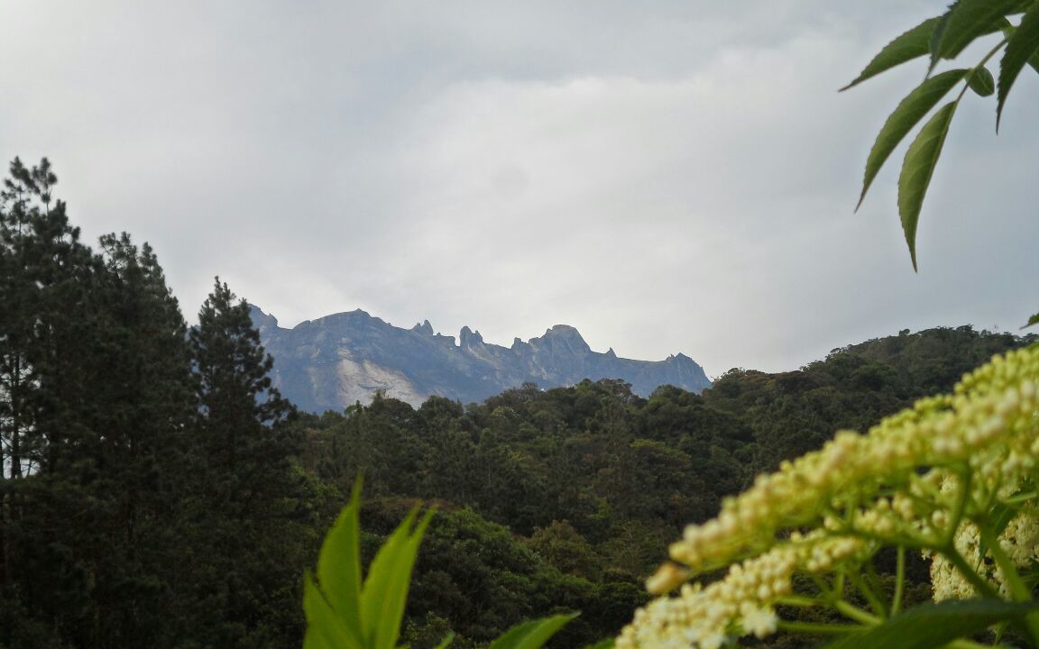 Photo of Others in Bundu Tuhan