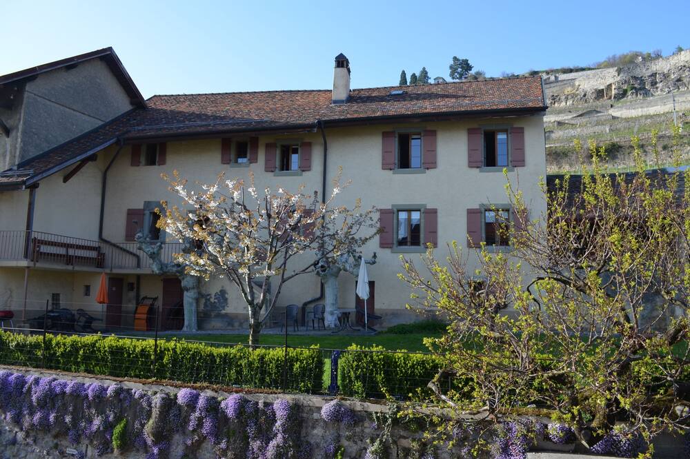Photo of Outdoor in Chardonne