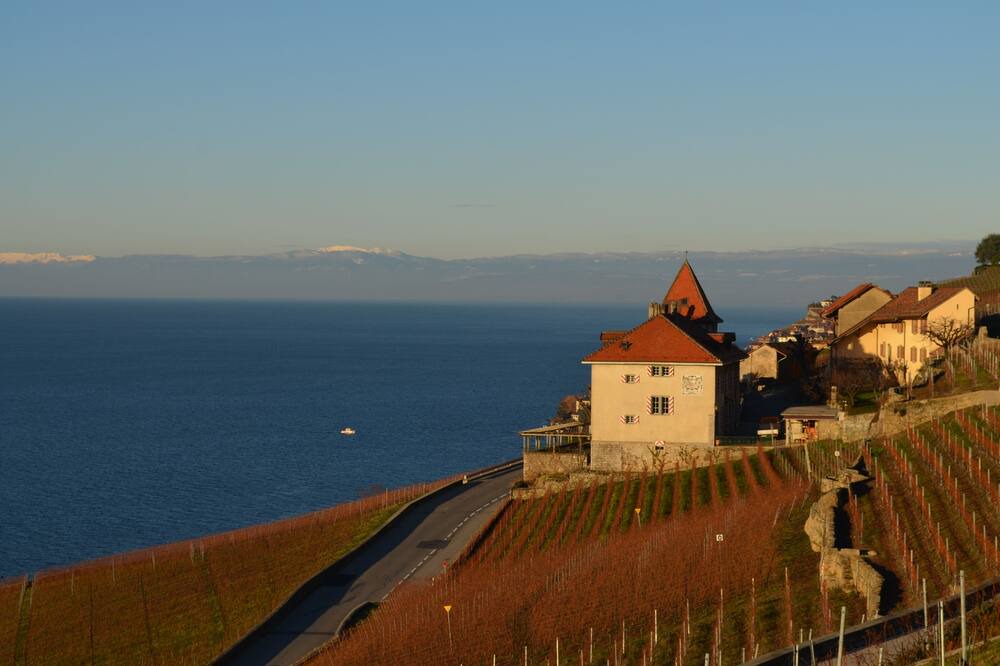 Photo of Outdoor in Chardonne