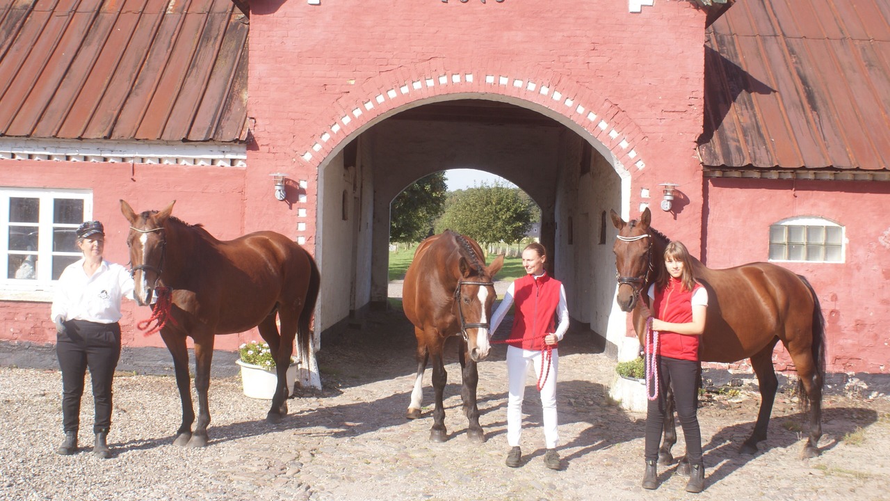 Photo of Others in Dronninglund