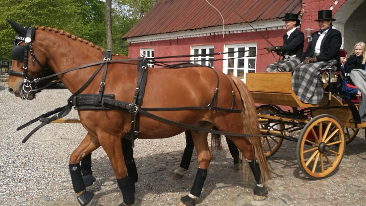 Photo of Others in Dronninglund