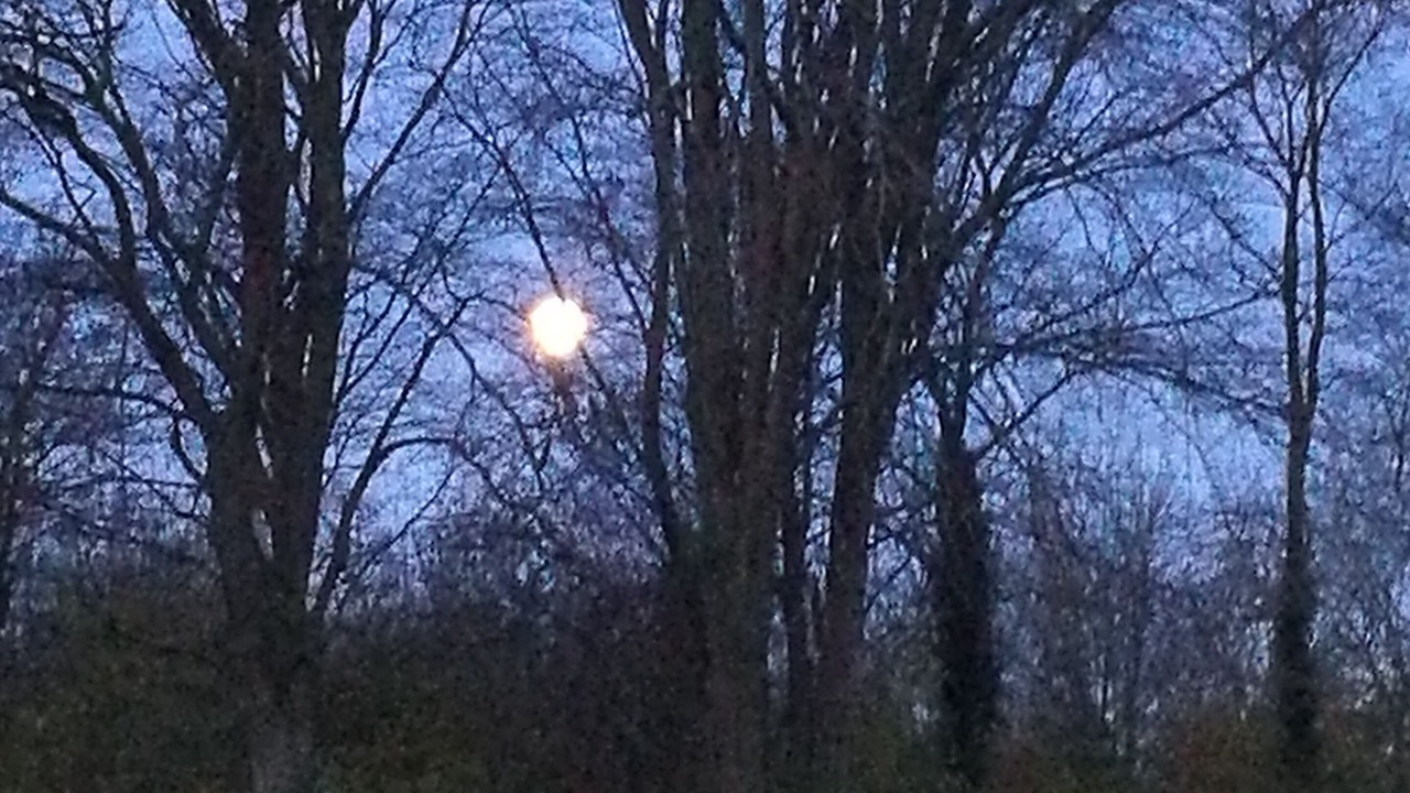 Photo of Patio Balcony in Dronninglund