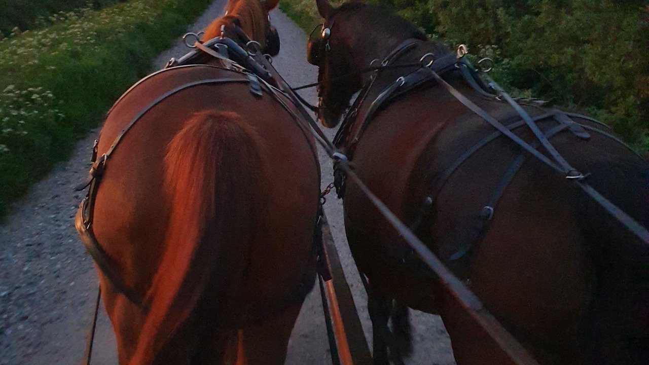 Photo of Others in Dronninglund