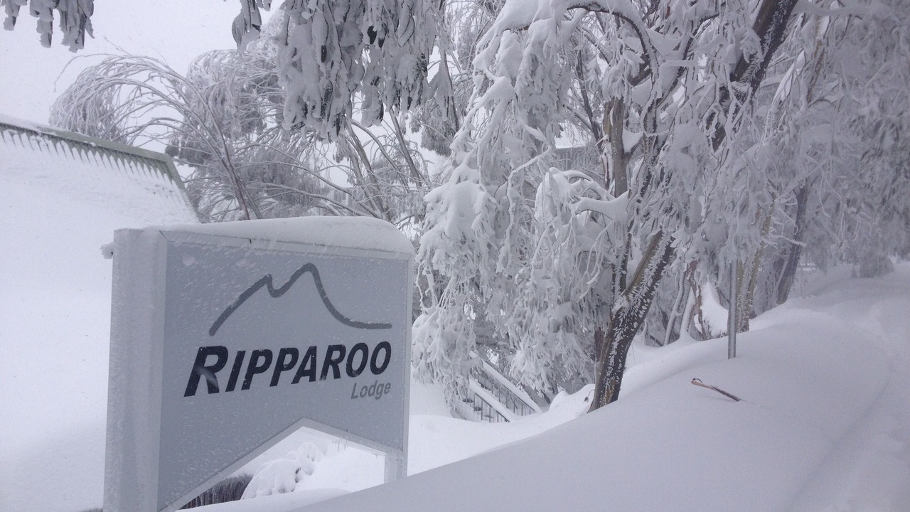 Photo of Outdoor in Falls Creek