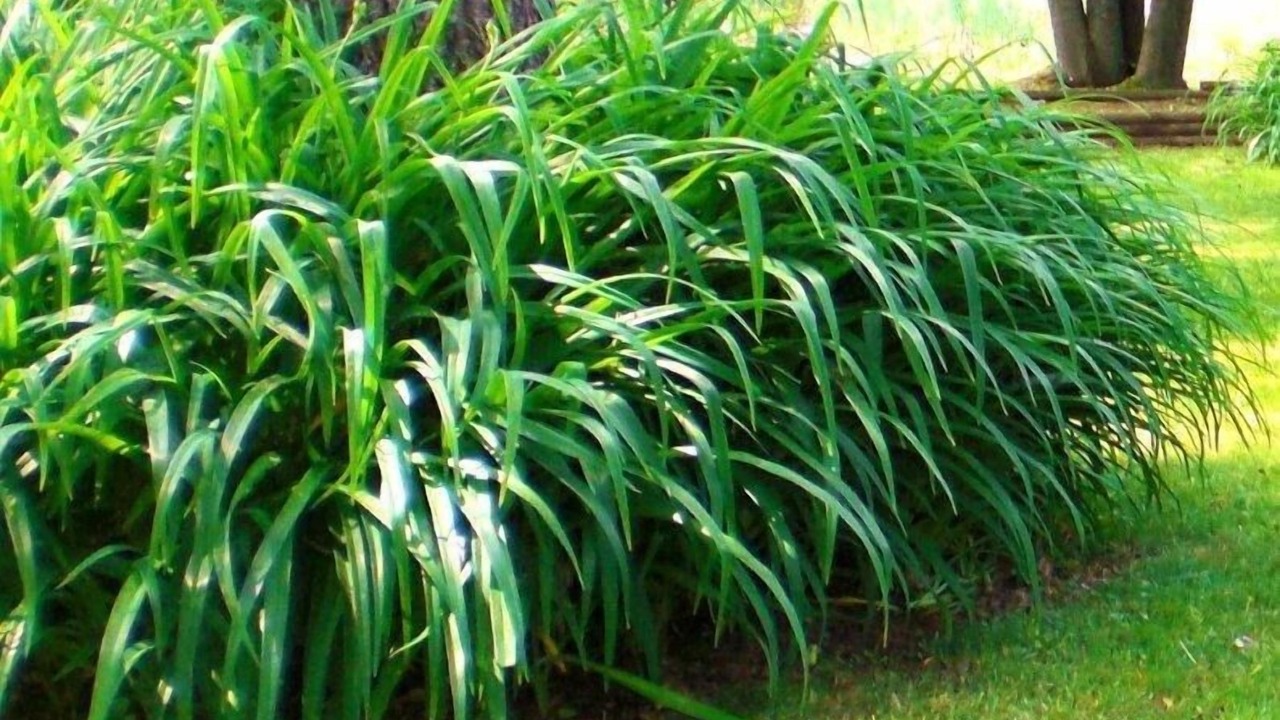 Photo of Outdoor in Trent Hills