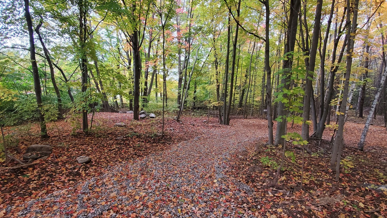 Photo of Outdoor in Madoc