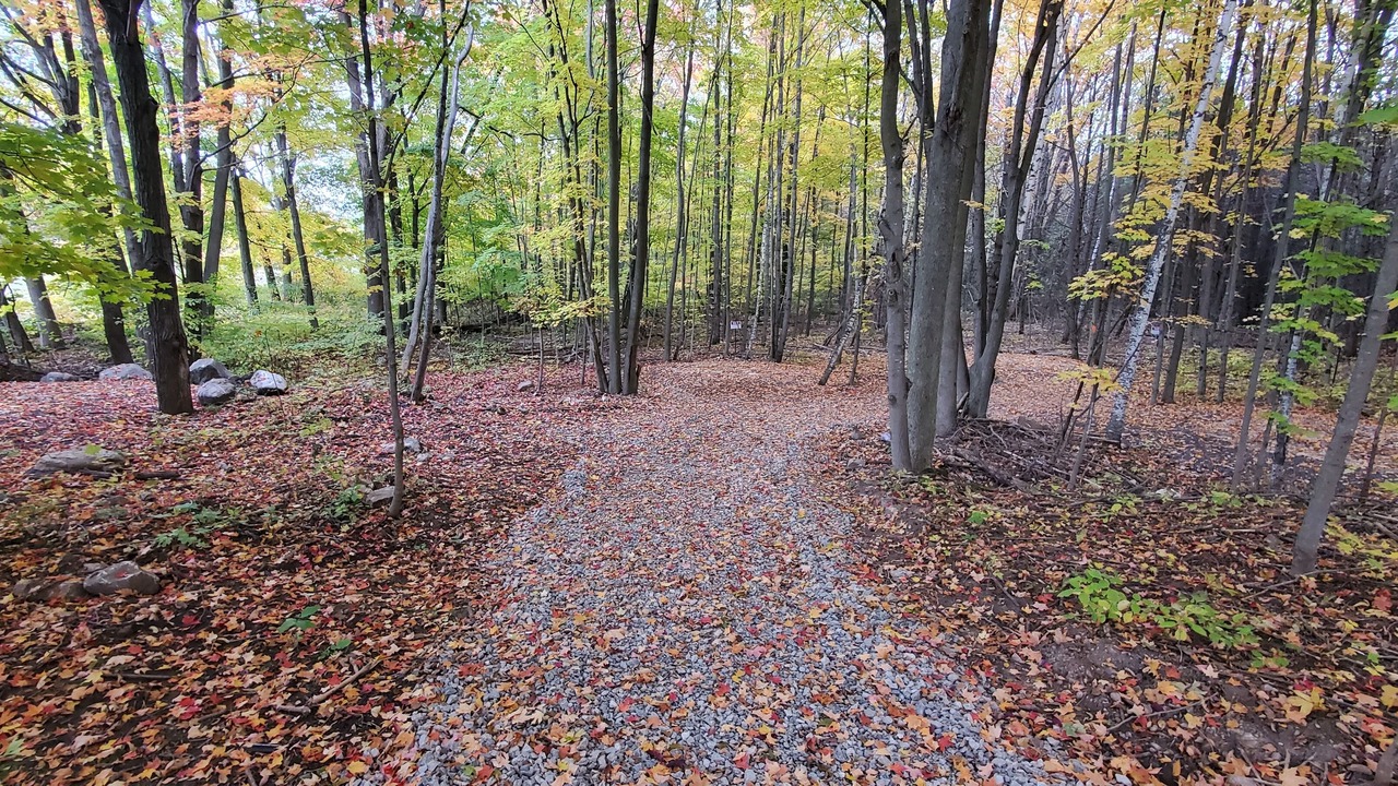 Photo of Outdoor in Madoc