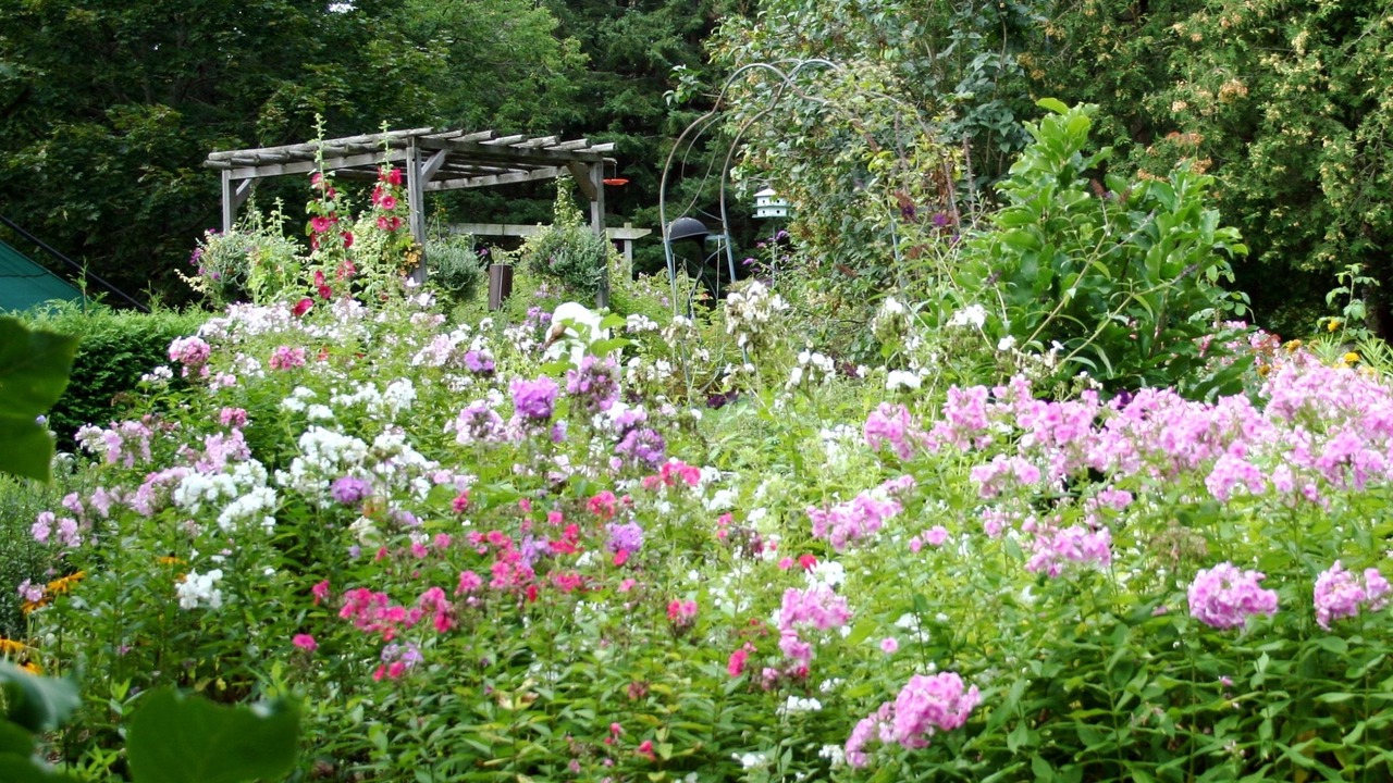 Photo of Outdoor in Peterborough