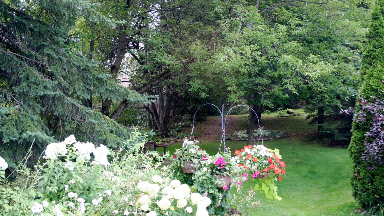 Photo of Outdoor in Peterborough