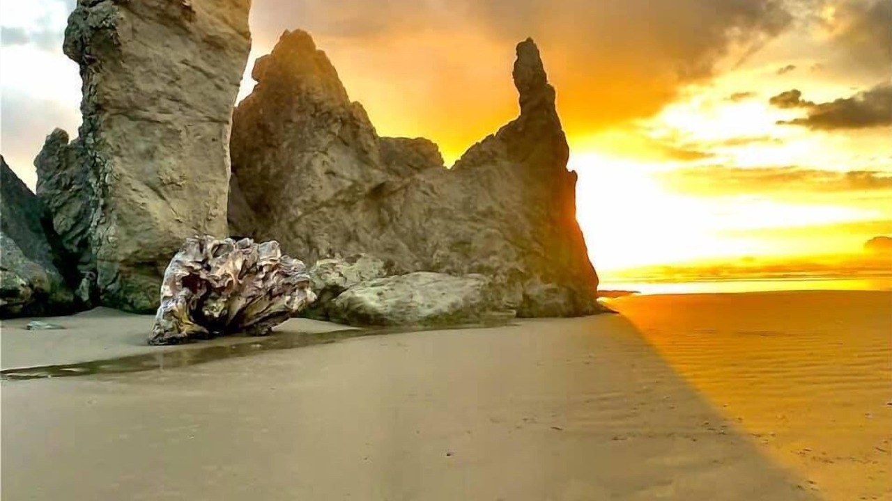 Photo of Others in Bandon