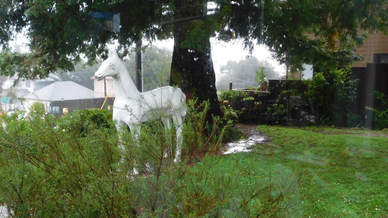 Photo of Outdoor in Beach Hill - Beach Flats
