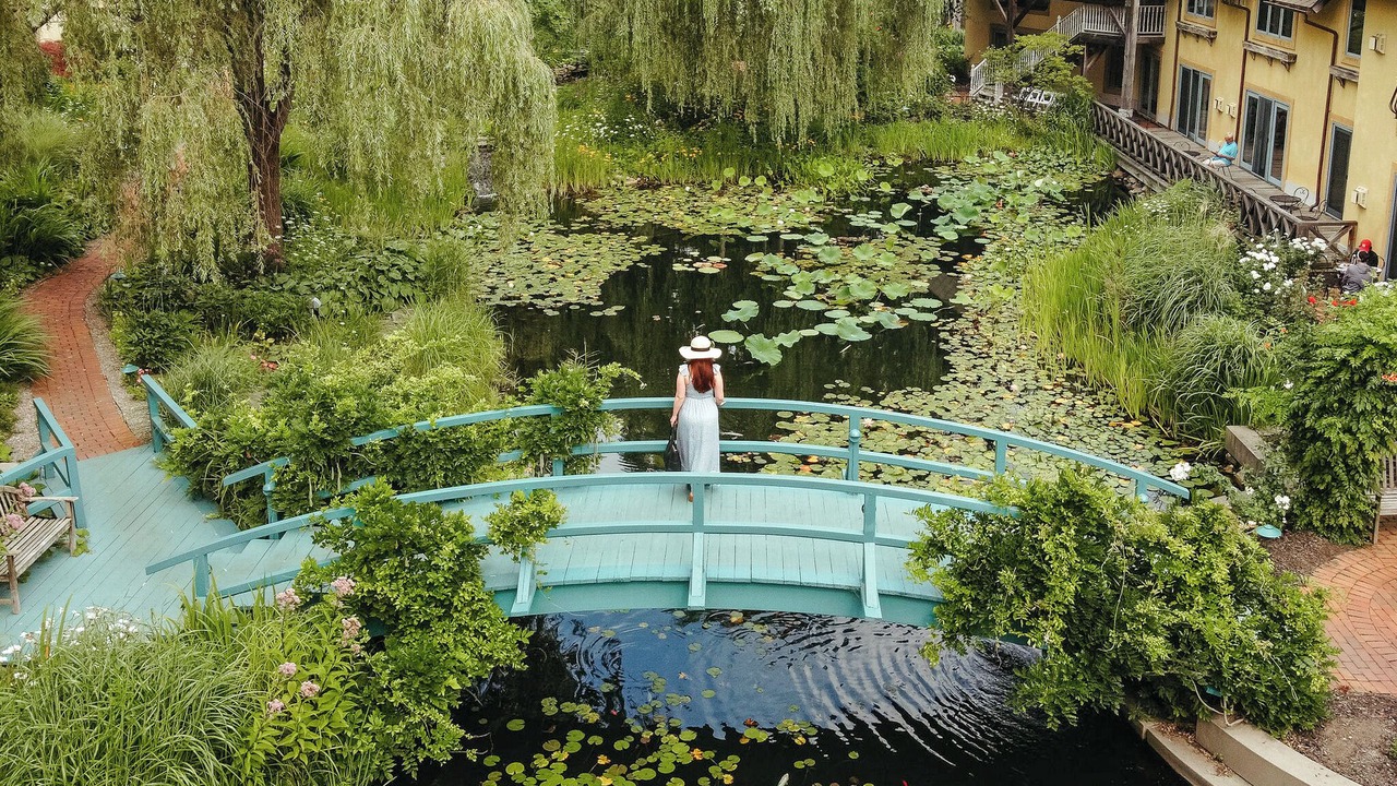 Photo of Others in Skaneateles