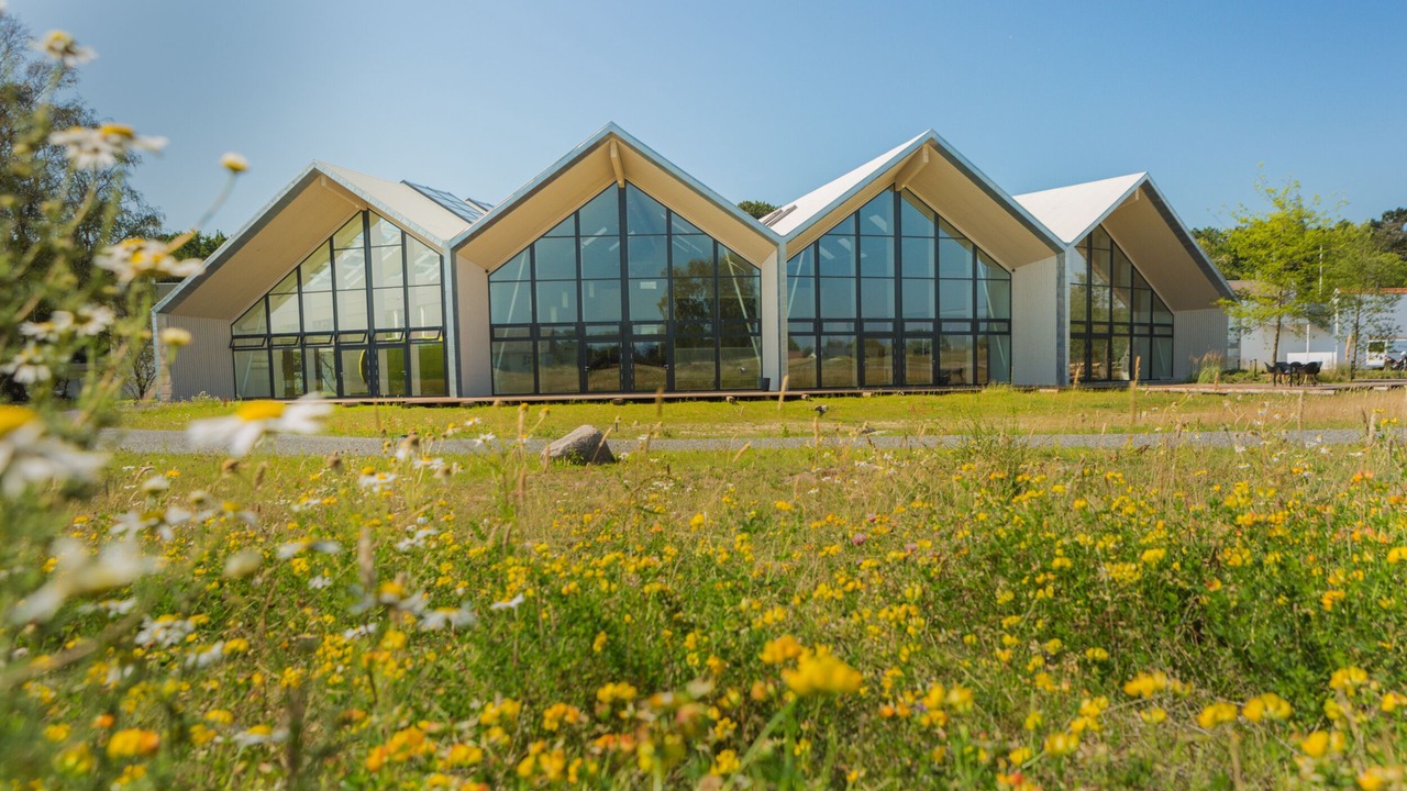Photo of Outdoor in Ronne
