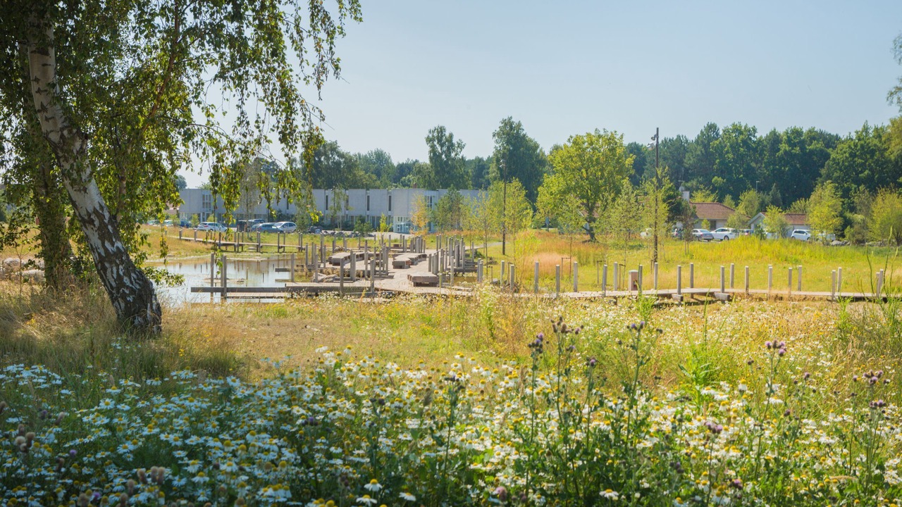 Photo of Outdoor in Ronne