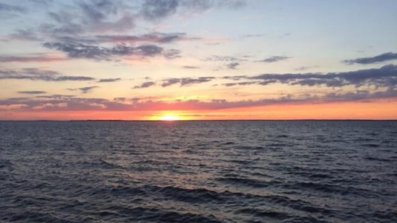 Photo of Others in Ocean Beach