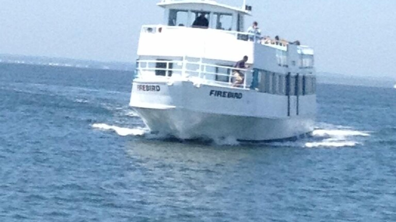 Photo of Others in Ocean Beach