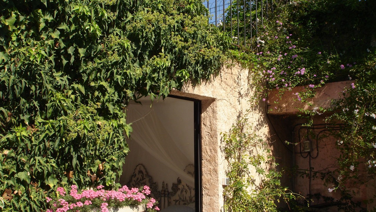 Photo of Outdoor in Plan-de-la-Tour