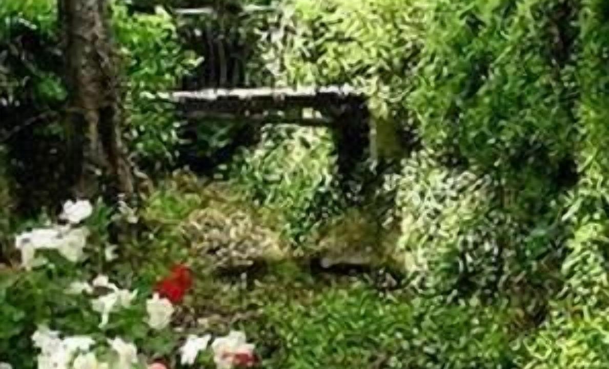 Photo of Outdoor in Plan-de-la-Tour