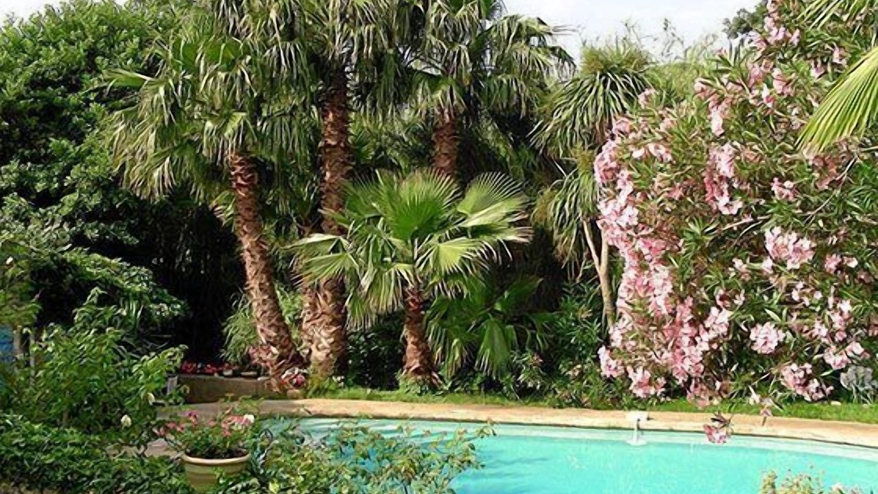 Photo of Outdoor in Plan-de-la-Tour