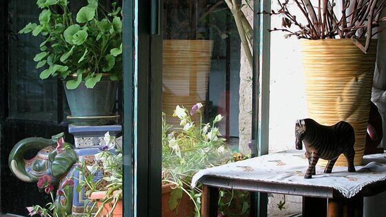 Photo of Others in Plan-de-la-Tour