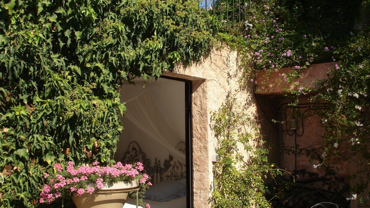 Photo of Outdoor in Plan-de-la-Tour