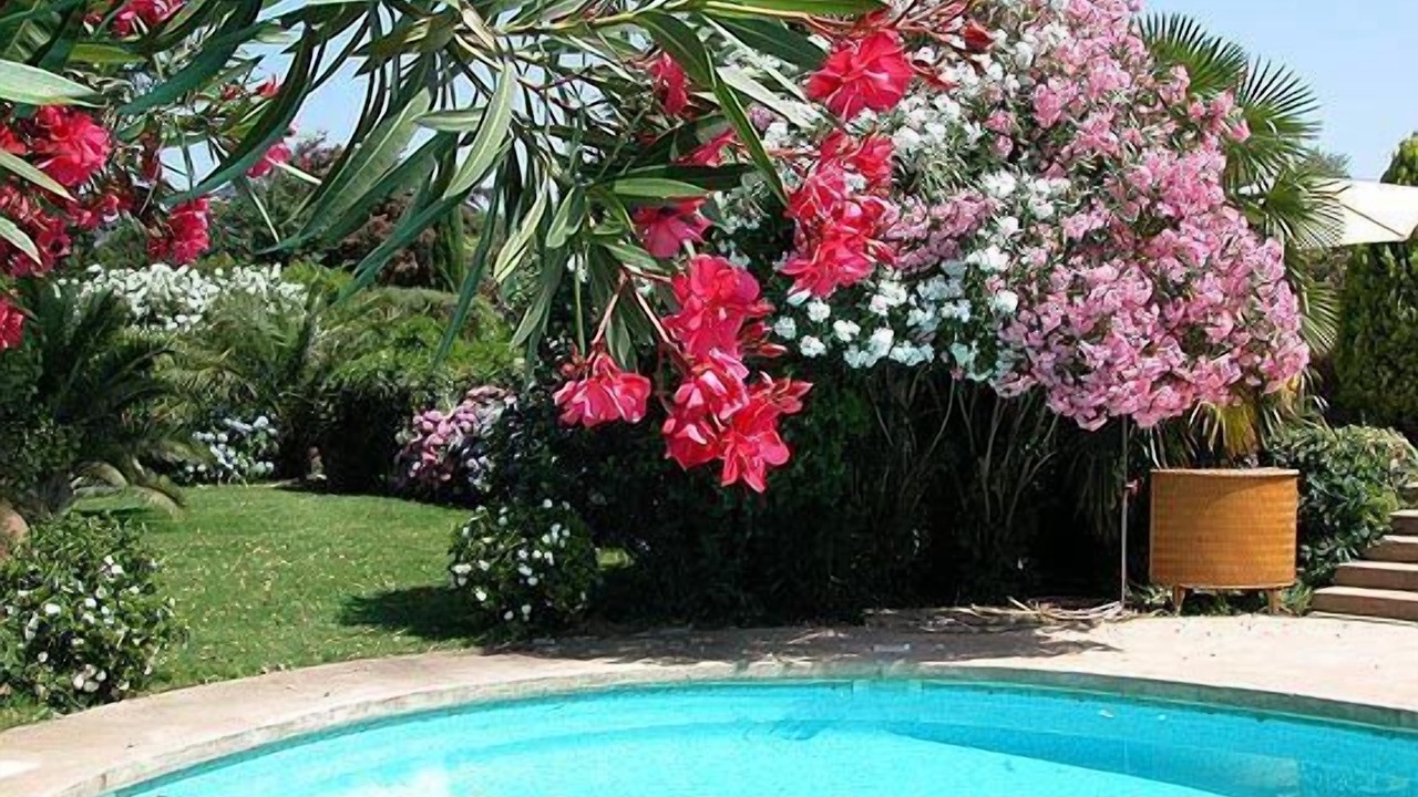 Photo of Outdoor in Plan-de-la-Tour