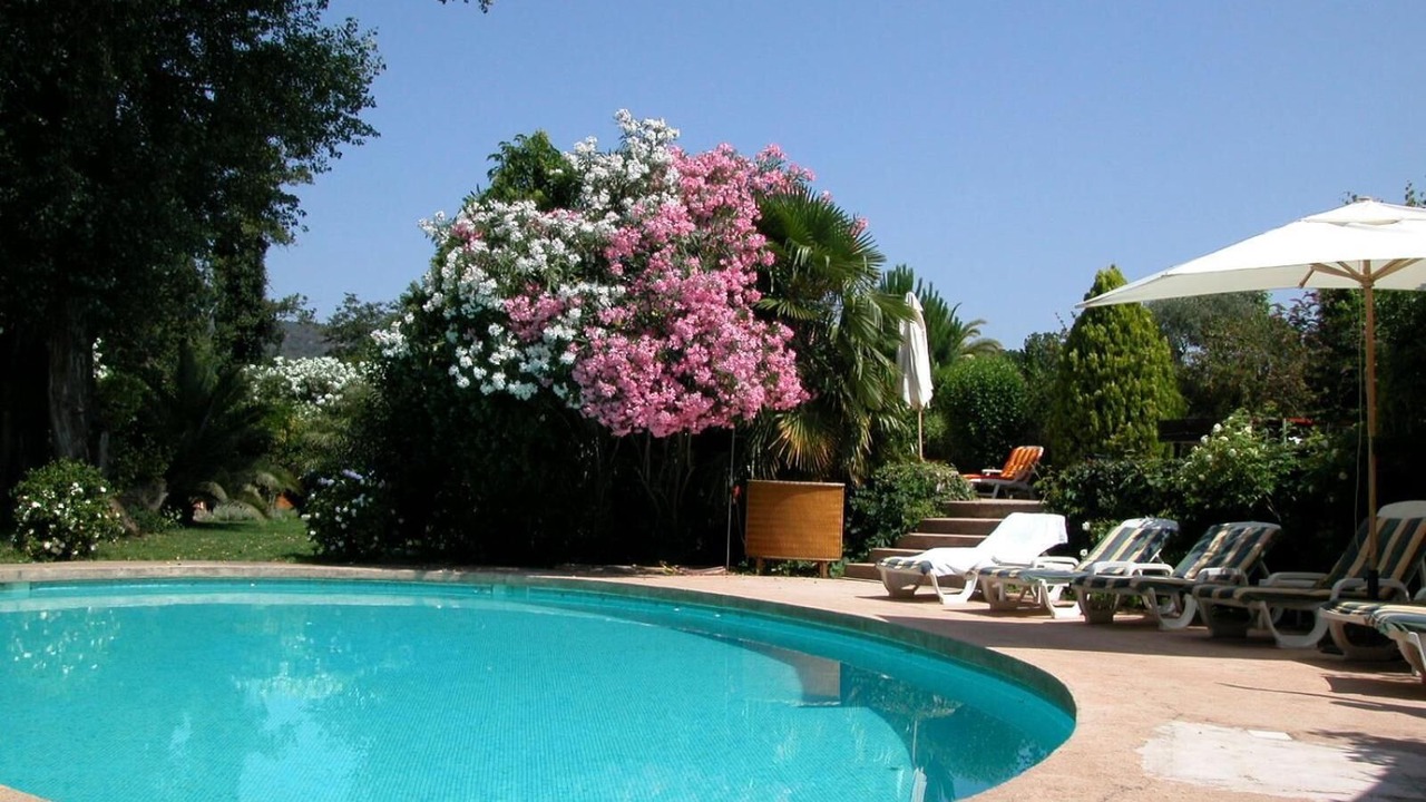 Photo of Outdoor in Plan-de-la-Tour