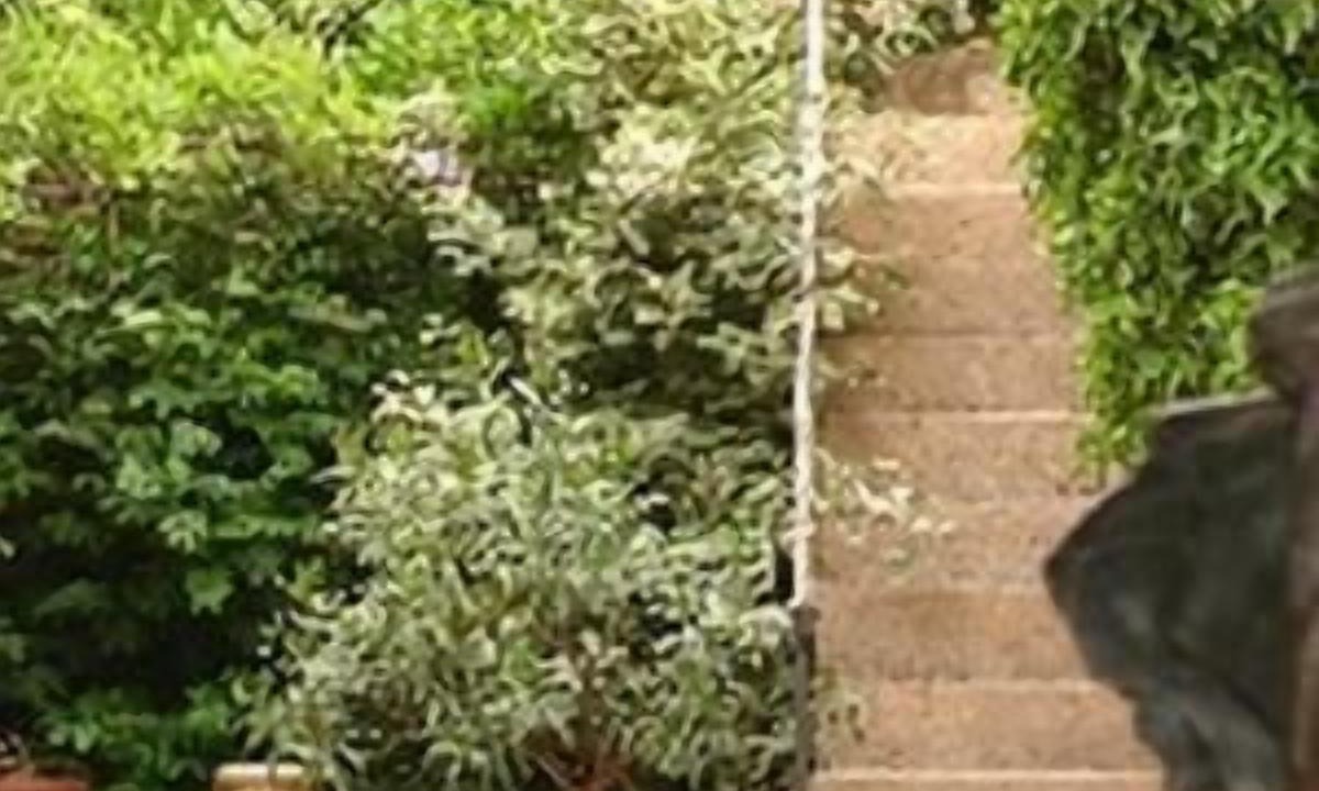 Photo of Outdoor in Plan-de-la-Tour