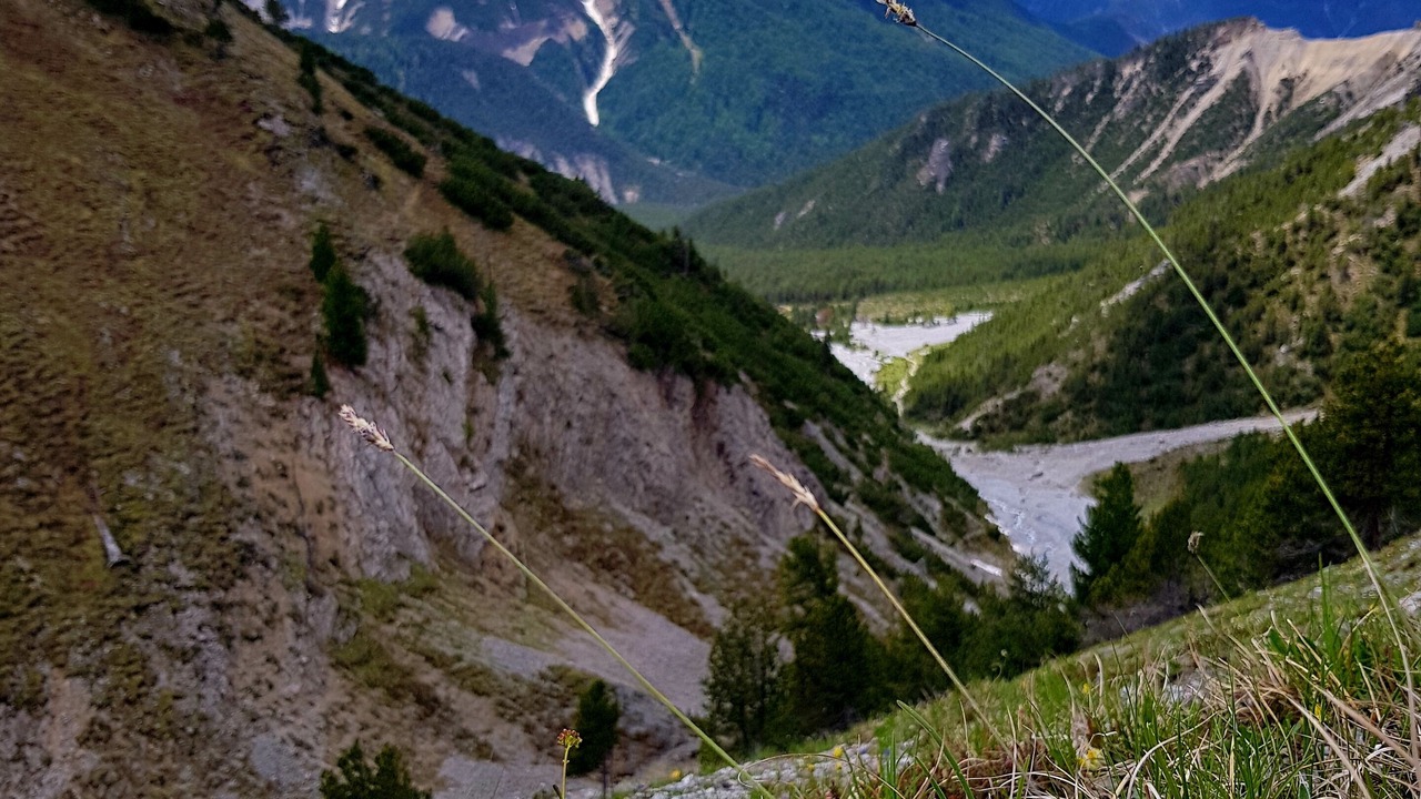 Photo of Outdoor in Zernez