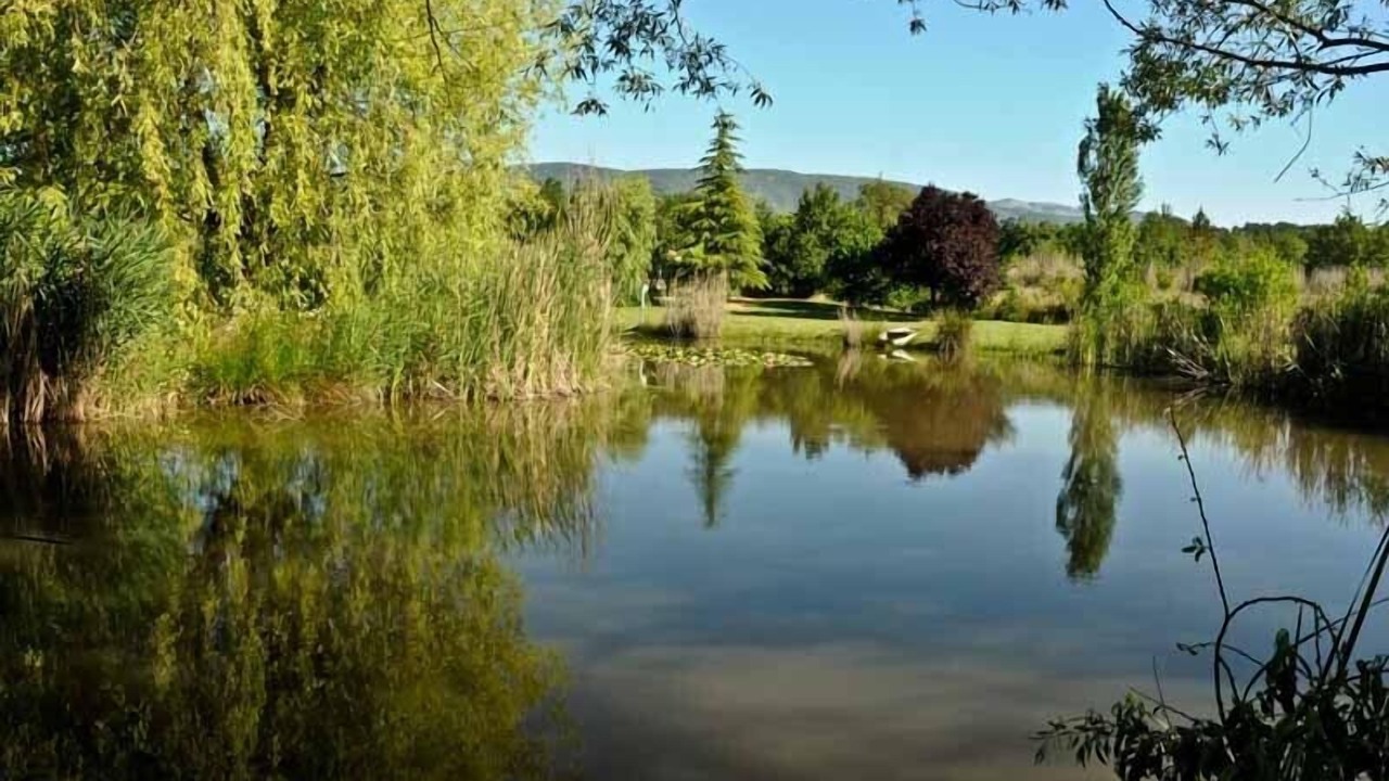 Photo of Outdoor in Fayence