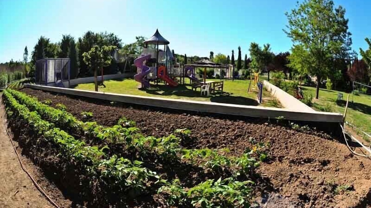 Photo of Outdoor in Fayence