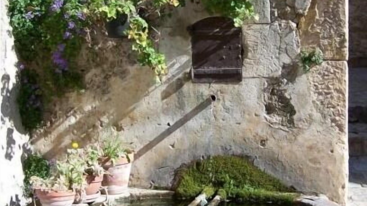 Photo of Outdoor in Fayence