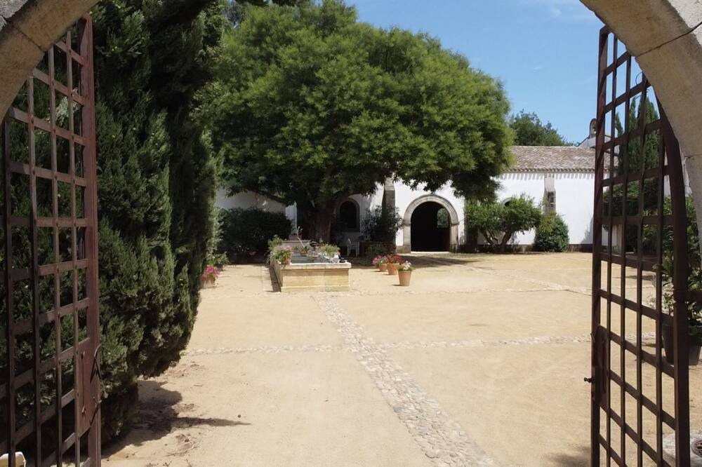 Photo of Outdoor in Arles