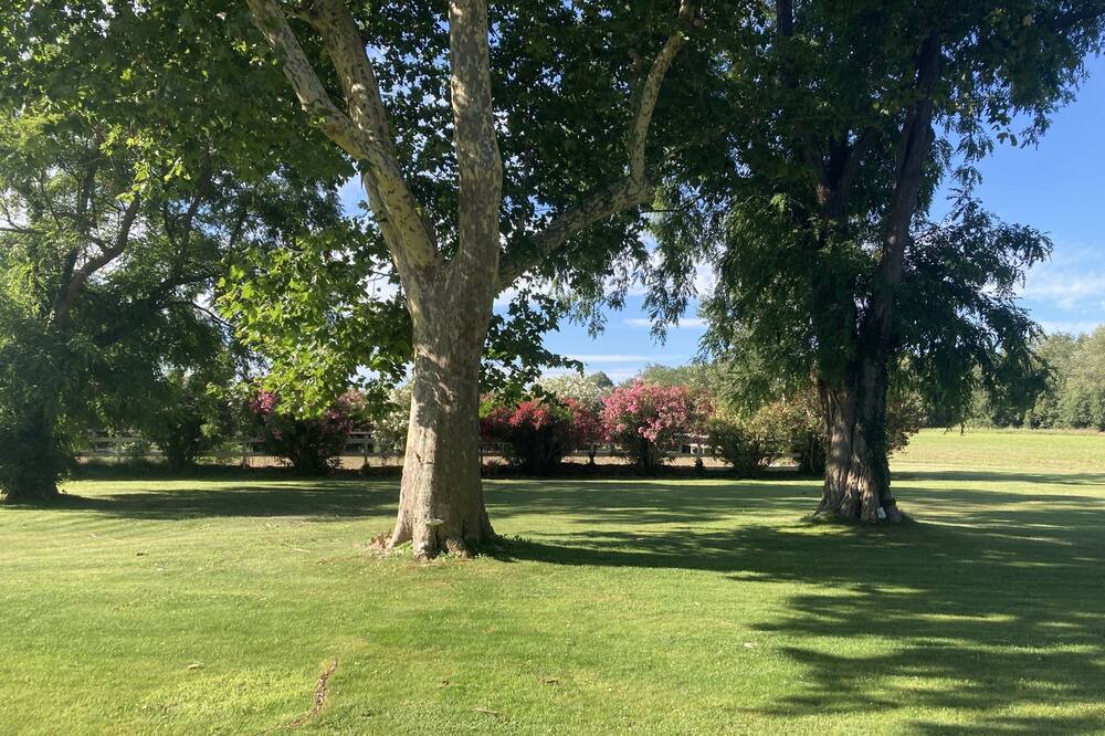 Photo of Outdoor in Arles