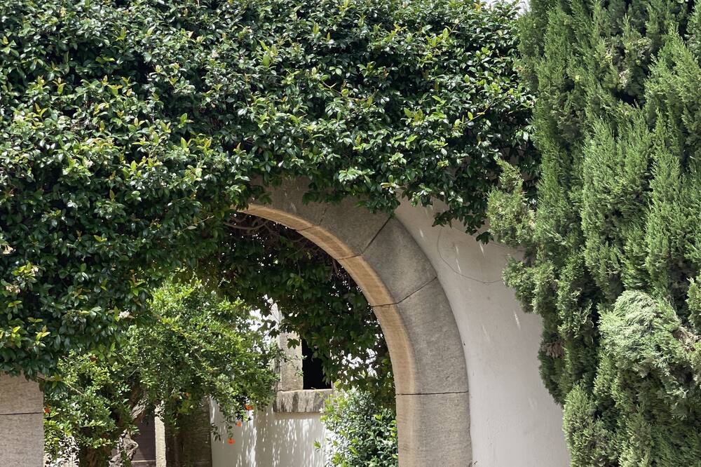 Photo of Outdoor in Arles