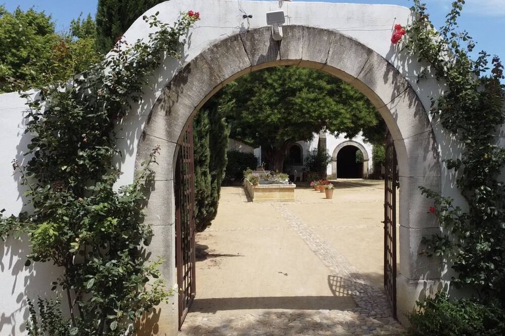 Photo of Outdoor in Arles
