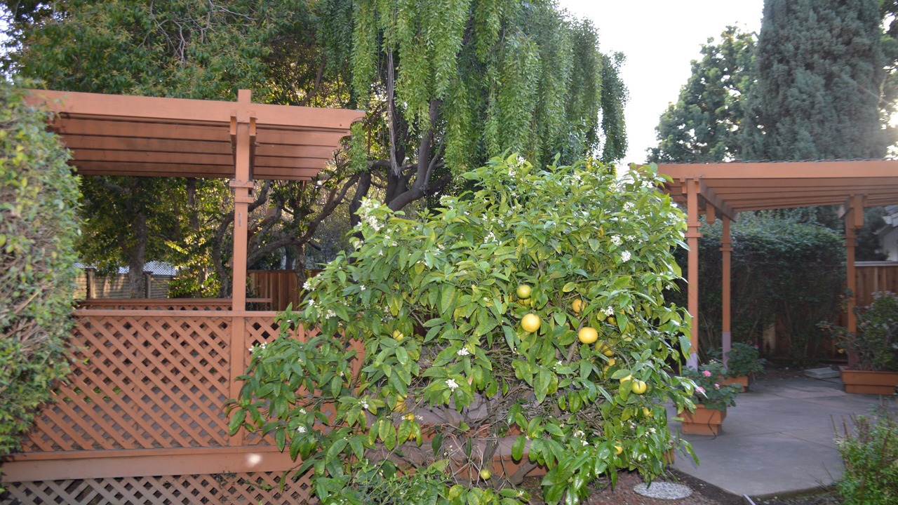 Photo of Outdoor in Ardenwood