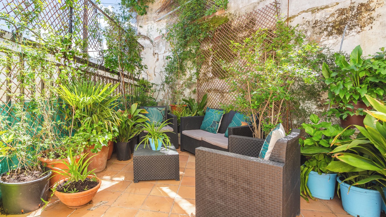 Photo of Outdoor in Arbucies
