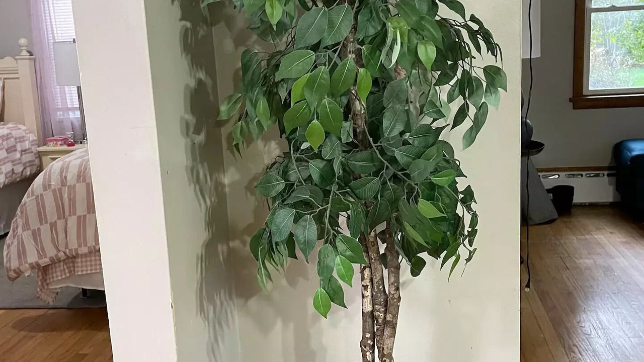 Photo of Others in Mansfield Depot