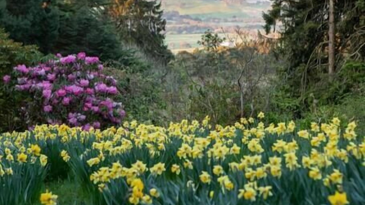 Photo of Outdoor in Mount Macedon