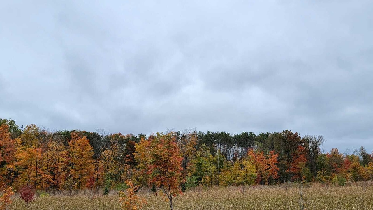 Photo of Others in Innisfil