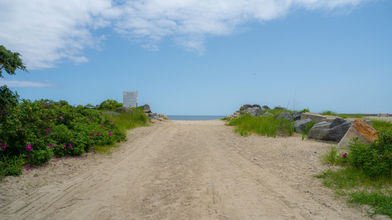 Photo of Others in Hampton