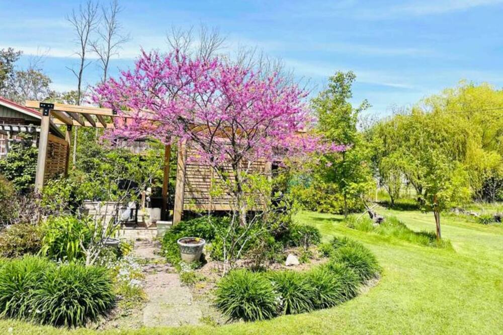 Photo of Outdoor in Virgil