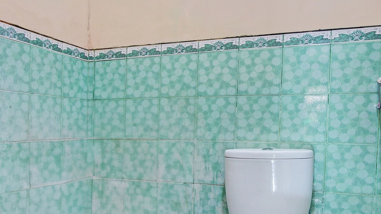 Photo of Bathroom in Karangmojo