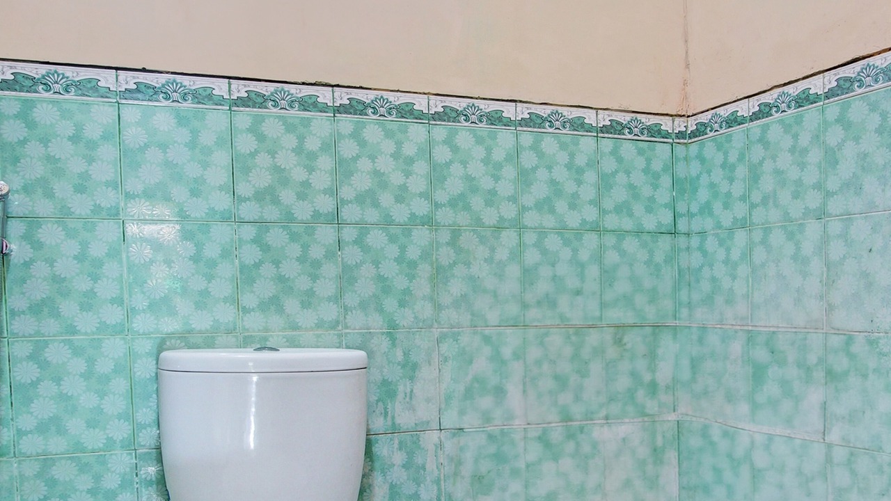 Photo of Bathroom in Karangmojo